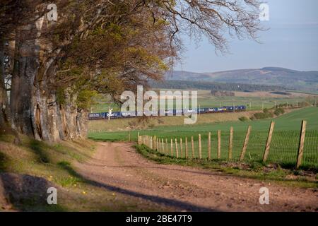 Der intermodale CO2-lose Güterzug Stobart / Tesco Express fährt durch die Landschaft bei Carstairs an der Westküste Schottlands Stockfoto