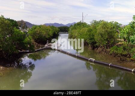 Salzwasser Krokodilfalle in Creek in der Nähe der Bootsrampe, Fernleigh Street, Trinity Inlet, Cairns, Queensland, Australien. Keine Pr Stockfoto