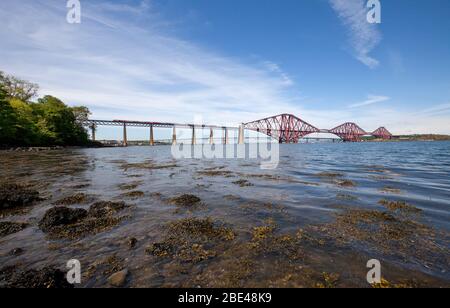 Virgin Züge Ostküste Hochgeschwindigkeitszug ( Intercity 125 ) über die vierte Eisenbahnbrücke in South Queensferry Stockfoto