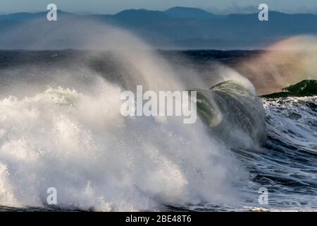 Anmutige Wellen brechen nahe an der Küste mit dem Sonnenlicht beleuchtet das Wasser; Seaside, Oregon, Vereinigte Staaten von Amerika Stockfoto