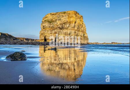 Marsden Rock, ein 100 Fuß Meeresstapel aus Periclase und Magnesian Kalkstein, der ungefähr 100 Yards von der Hauptklippenwand liegt Stockfoto