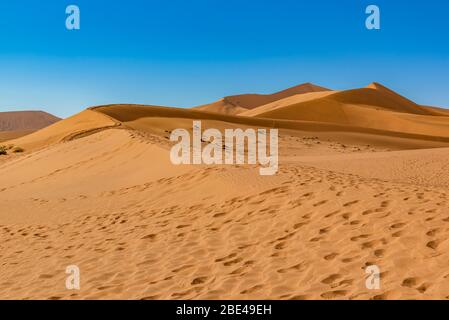 Sanddünen in der Nähe von Deadvlei, Namib Wüste, Namib-Naukluft Nationalpark; Namibia Stockfoto