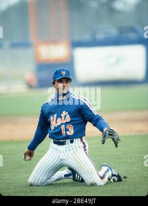 New York Mets Lee Mazzilli an der MET Baseball-Frühjahrstraining-Anlage in Port St. Lucie, Florida am 11. März 1989. Foto von Francis Specker Stockfoto