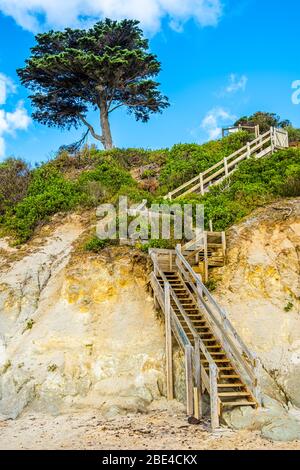 Lange Holztreppen führen die Klippe vom Strand hinauf mit libanesischer Zeder oben Stockfoto