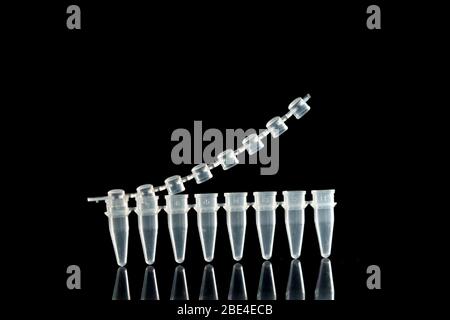 PCR-Mikroröhrchen zur Identifizierung von Coronavirus auf Schwarz Stockfoto