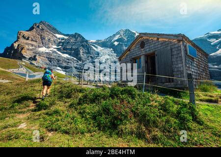 Fröhliche Wandererin mit bunt schwerem Rucksack und Trekkingstöcken, die auf den Bergen bei der Holzhütte, Jungfrau Berggruppe, Grindelwa, klettern Stockfoto