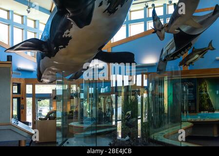 GTM Research Reserve Visitor Center in Ponte Vedra Beach, Florida. (USA) Stockfoto