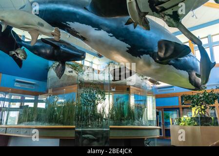 GTM Research Reserve Visitor Center in Ponte Vedra Beach, Florida. (USA) Stockfoto