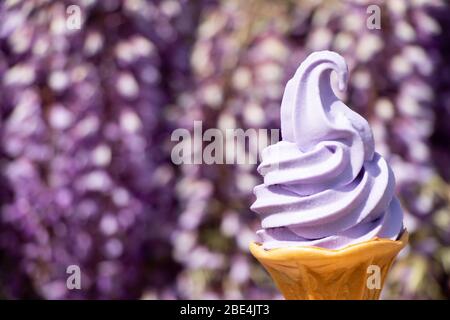 Violettes Eis mit verschwommenem hintergrund der fuji-Glyzinie-Blume Stockfoto