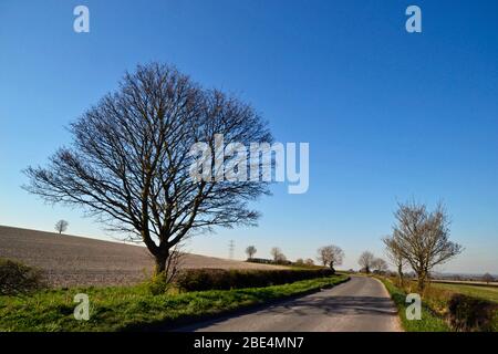 Blick von einem Teil des Icknield Way, Landstraße, in der Nähe von Princes Risborough, Großbritannien Stockfoto