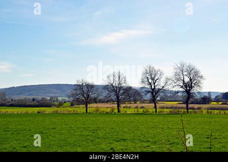 Blick über Felder vom Phoenix Trail, der von Princes Risborough in Buckinghamshire nach Thame in Oxfordshire, Großbritannien, führt. Chilterns. Stockfoto