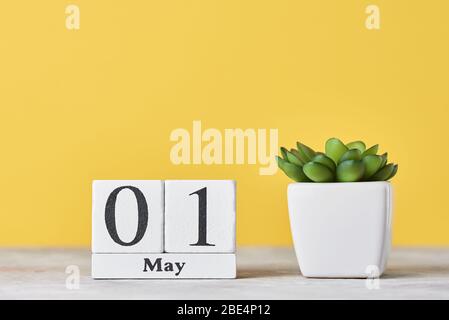 Holzblockkalender mit Datum 1. Mai und saftige Pflanze im Topf auf gelbem Hintergrund. Konzept des Arbeitstages Stockfoto