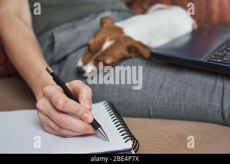 Frau schreibt Pläne in Notizbuch mit ihrem Jack Rusel Terrier Welpen Hund. Gute Beziehungen und Freundschaft zwischen Besitzer und Tier Haustier Stockfoto