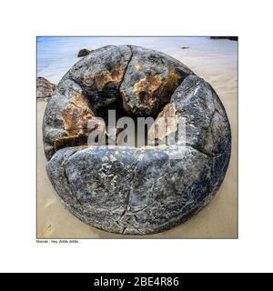 Moeraki-Felsbrocken werden an der Ostküste von South Island, Neuseeland, geformt und enthüllt. Stockfoto