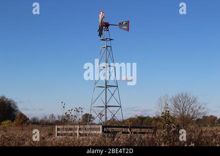 Groveport Ohio Straßen mit bunten Bäumen, Familie von Gänsen auf einem Teich, drei Bach Spaziergang Weg mit bunten Bäumen und grüner Landschaft umgeben Stockfoto