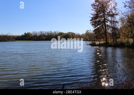 Groveport Ohio Straßen mit bunten Bäumen, Familie von Gänsen auf einem Teich, drei Bach Spaziergang Weg mit bunten Bäumen und grüner Landschaft umgeben Stockfoto