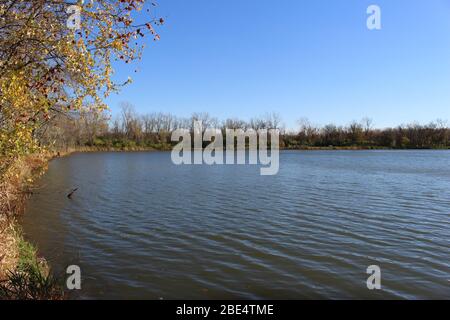 Groveport Ohio Straßen mit bunten Bäumen, Familie von Gänsen auf einem Teich, drei Bach Spaziergang Weg mit bunten Bäumen und grüner Landschaft umgeben Stockfoto