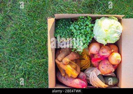 Lebensmittelverpackung Mehrweg Papier Einkauf Öko-Box mit gesundem Gemüse auf grünem Gras, saubere Ernährung Auswahl. Umweltfreundlich, plastikfrei Zero Wast Stockfoto