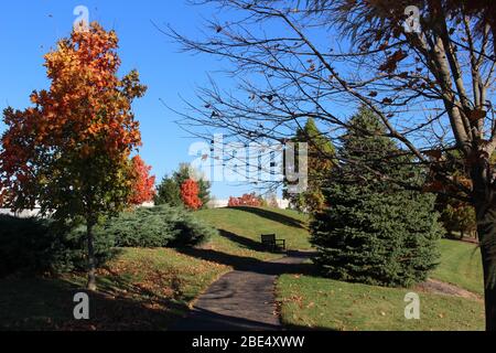 Groveport Ohio Straßen mit bunten Bäumen, Familie von Gänsen auf einem Teich, drei Bach Spaziergang Weg mit bunten Bäumen und grüner Landschaft umgeben Stockfoto