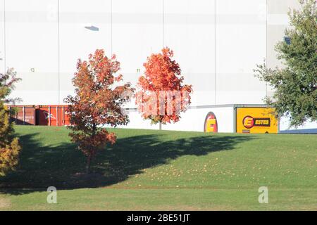 Groveport Ohio Straßen mit bunten Bäumen, Familie von Gänsen auf einem Teich, drei Bach Spaziergang Weg mit bunten Bäumen und grüner Landschaft umgeben Stockfoto