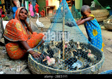 Ente und Küken Verkäufer Mutter und ihr Mädchen Kind Stockfoto