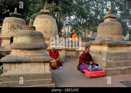 3 buddhistische Mönche beten zusammen im mahabodhi Tempel bodh gaya bihar indien Stockfoto