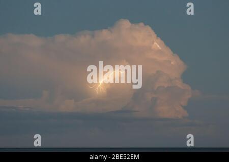 Blitze blitzen in einer Gewitterwolke über dem Meer an einem Sommerabend Stockfoto