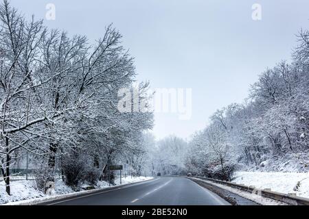 Blick auf die Straße im Winterwald. Nyiregyhaza, Ungarn Stockfoto