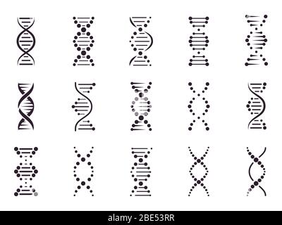 DNA-Modellelemente. Chemie Spiral Chromosom Struktur Konzept, Gen Mikrobiologie, Molekül Helix Struktur, medizinische Wissenschaft DNA-Elemente isoliert Stock Vektor