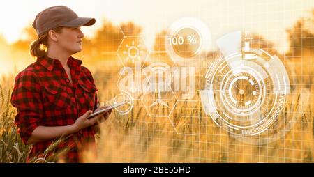 Eine Frau Bauer untersucht den Bereich der Getreide- und sendet die Daten an die Wolke aus der Tablette. Smart Farming und digitale Landwirtschaft. Stockfoto