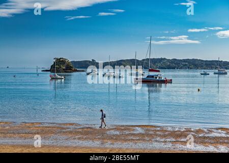 Kororareka Bay, Paihia, Bay of Islands Area, Northland Region, North Island, Neuseeland Stockfoto