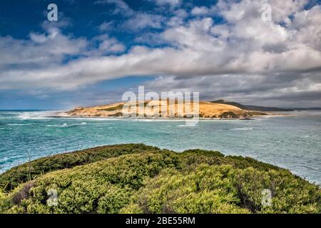 North Head Sanddünen, Hokianga Hafen, Tasmanische See, Blick von South Head, Arai te Uru Scenic Reserve, in der Nähe von Omapere, Nordinsel, Neuseeland Stockfoto