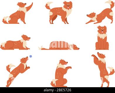 Hundebewegung. Lustige Hunde Aktivitäten, niedlichen Tier Charakter in verschiedenen Posen laufen, spielen und schlafen. Hunde Action-Training und Tricks Vektor Stock Vektor