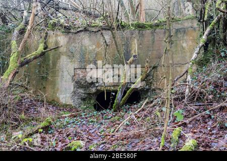 Zerstörter und abadoned Bunker aus dem Zweiten Weltkrieg Stockfoto