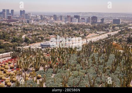 Blick auf den Cactus Garden vom Getty Center, Brentwood, Los Angeles in Richtung Innenstadt Stockfoto