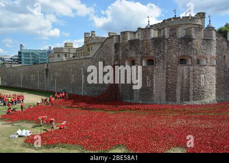 Poppy Installation 'Tower of London 2014' genannt Blood Swept Lands and Seas of Red Stockfoto