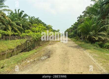 Entwaldung, Zerstörung der Natur ist Hauptthema in der Provinz Bengkulu und fast ganz Sumatra, Indonesien. Schotterstraße und Dunst ist in einem Bild A zu sehen Stockfoto