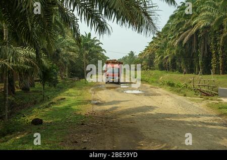 28 July 2018 Bengkulu, Sumatra, Indonesien: LKW mit Palmenpflanzen für die Palmölindustrie. Gefangen in Palmenplantagen. Entwaldung Dunst Stockfoto