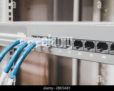 Mehrere RJ45-Ethernet-Kabel an einen Schalter in einem server rack eines Unternehmens Computer zu einem Netzwerk zu verbinden Stockfoto