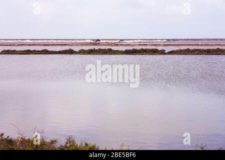 Salzwasser in den ibiza Salzebenen und Horizont auf den balearen Stockfoto