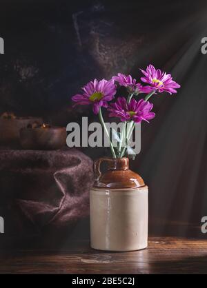 Lila Gänseblümchen blüht in einem braunen Krug auf einer rustikalen Holzfläche mit Lichtstrahlen, die von oben leuchten Stockfoto