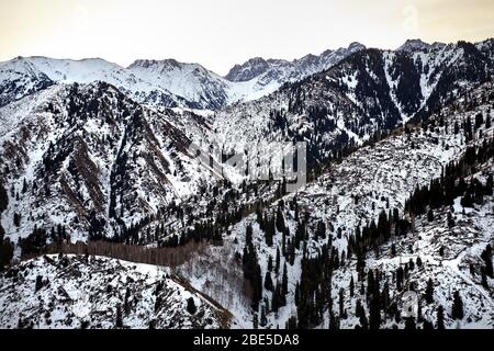 Panoramablick auf hohe Bergkette von Zaili Alatay und Kiefernwald bei Sonnenaufgang von Kok Zhaylau Trail in Almaty, Kasachstan Stockfoto