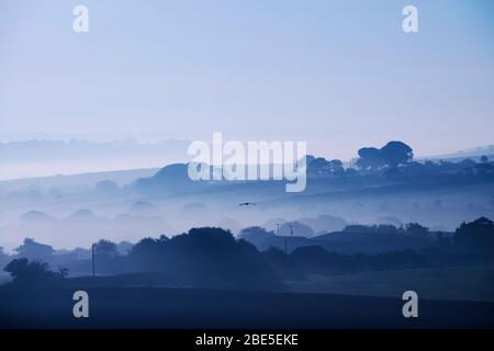 Nebliger Morgen über Feldern und Bäumen in Cornwall Stockfoto