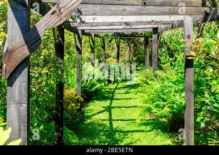 Sonnendurchflutete Gartenlaube mit Gartenpflanzen und Büschen Stockfoto