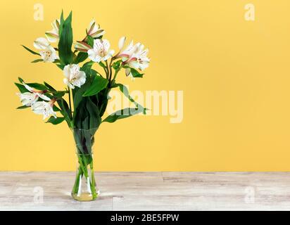 Weiße Alstroemeria, peruanische Flieder in Glasvase Stockfoto