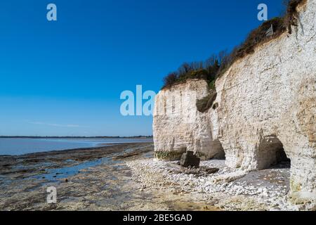 Die weißen Kreidefelsen für Ramsgate West Blick in Richtung Pegwell Bay an einem späten Frühlingstag mit blauem Himmel. Stockfoto