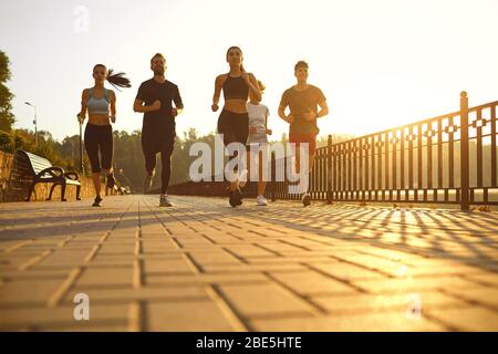 Gruppe von Läufern in den Park am Morgen. Stockfoto