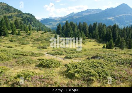 Panoramablick über die Moorlandschaft auf der Alp Flix in Graubünden, Schweiz Stockfoto