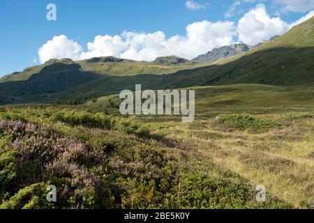 Panoramablick über die Moorlandschaft auf der Alp Flix in Graubünden, Schweiz Stockfoto