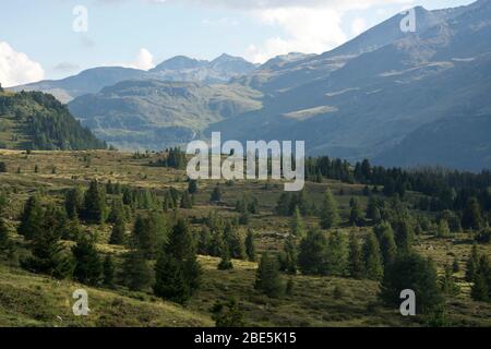 Panoramablick über die Moorlandschaft auf der Alp Flix in Graubünden, Schweiz Stockfoto